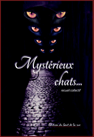 Mystérieux chats...